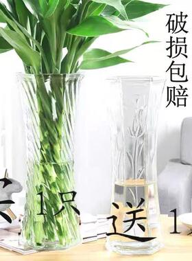【严选好物】玻璃花瓶明透水培富贵花瓶百合鲜花干燥插花花瓶客厅