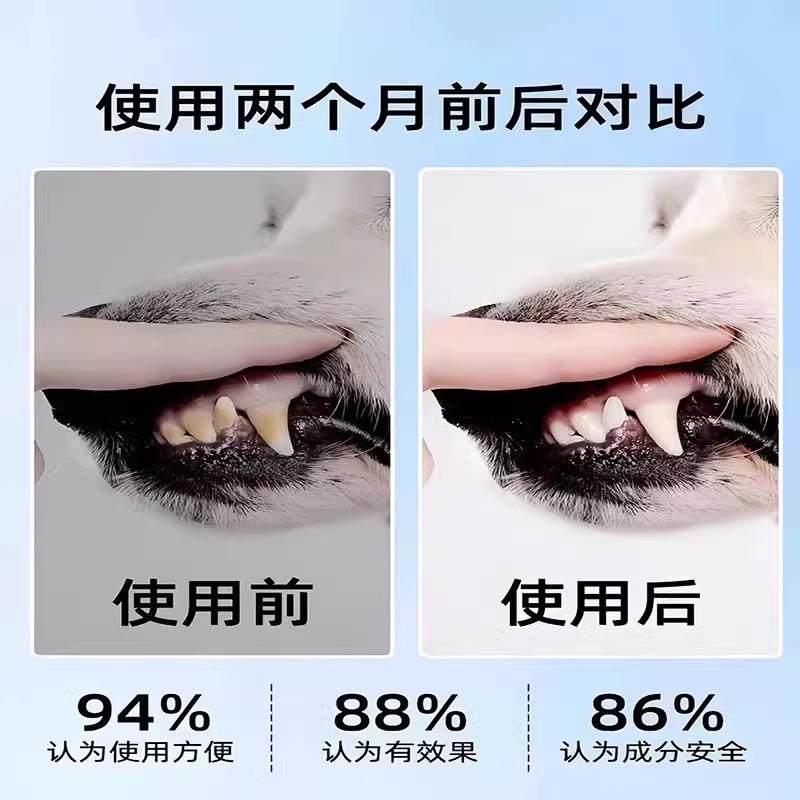 宠物牙刷笔牙膏一体猫狗口腔清洁结石除口臭狗狗套装猫咪刷牙,淘宝优惠券,粉丝福利购,淘宝优惠卷