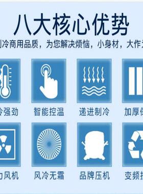 手工冰棒机商用卡通雪糕机小型速冻柜-40度低温速冻海鲜水饺速冻