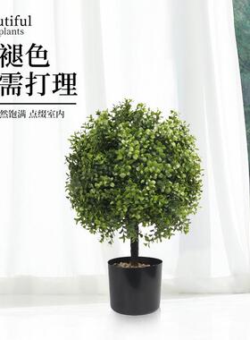 亚马逊仿真绿植圆球盆栽装饰橄榄树盆景室内外门廊院子黄杨木