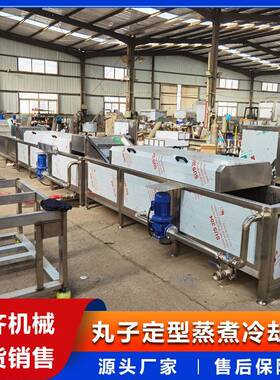 鱼肉丸子生产流水线 包心鱼丸成套加工设备 小型电加热丸子水煮线