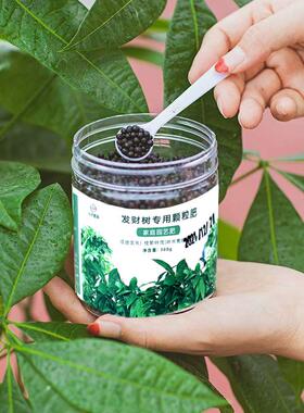 八个老头发财树专用颗粒肥家庭园艺花肥改善土壤促进植物自然生长