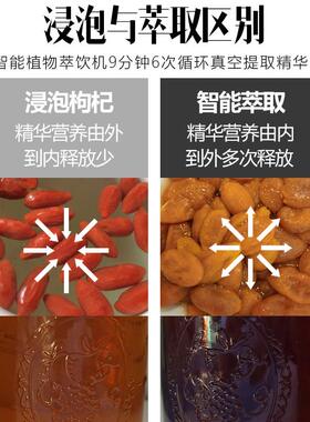 萃之道草本精华液萃取机中药灵芝虫草家用老年人营养口服液养生壶