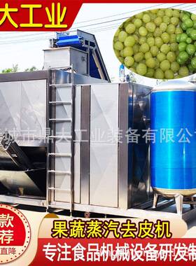 可靠西红柿蒸汽去皮机番茄加工线故障自动预警稳定生产有保障