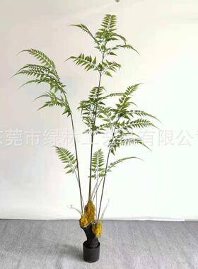 彷真蕨猴头蕨金丝蕨家居客厅商场店铺假植物彷真绿色植物盆栽装饰