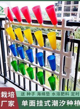 鱼菜设备水培系统阳台全套无土栽培种植花园家庭挂壁架共生蔬菜小