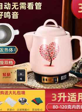 正品3L4L5L6LL170L12L16升精汤锅锅全自中动药锅煮锅药插件