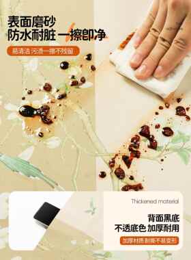 衣柜玻璃门翻贴VMI膜静电免胶租房改造新推拉门贴中纸覆式古遮丑