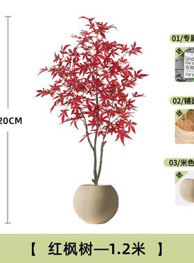 高档模拟绿色植物红枫树客厅室内彷古风格植豪饰物装高接端易近华