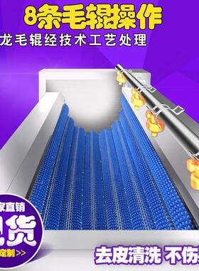 牛皮毛辊清洗机 小型全自动魔芋去皮清洗机 核桃毛辊清洗设备