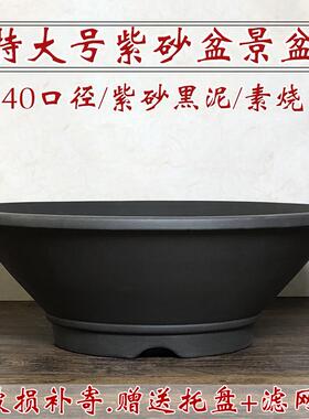 宜兴紫砂花盆假山盆黄杨老桩簕竹盆菖蒲粗陶特大多肉盆景蕨类浅盆