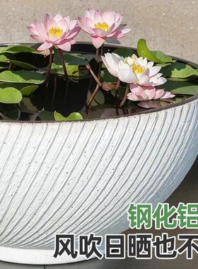 睡莲盆缸碗莲专用盆养荷花铜钱草的水培器皿无孔花盆莲花水缸塑料