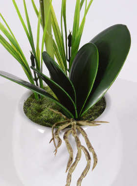 仿真花2叉蝴蝶兰花陶瓷花盆盆景套装花 家居客厅室内装饰花艺摆放