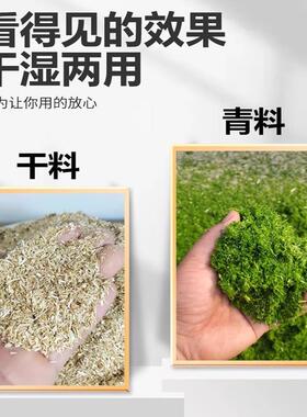 铡草机干湿两用粉碎全自动切草小型畜牧养殖秸秆牧草揉丝机打浆机