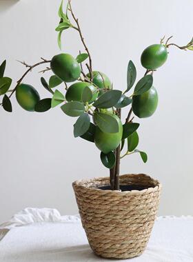 彷真柠檬树果枝清新水果盆栽客厅电视柜餐桌假花彷生插花装饰摆饰
