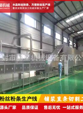 丽星涂布铺浆粉条机 红薯土豆淀粉通用 日产 3-5 吨免冻免搓洗