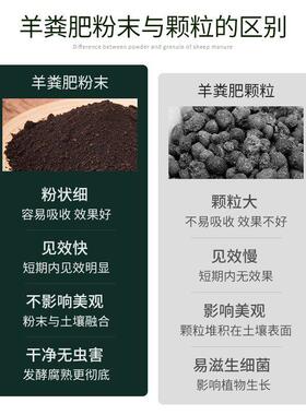 纯羊粪高温发酵羊粪花卉月季专用肥盆栽植物通用养花肥料鸡粪种菜