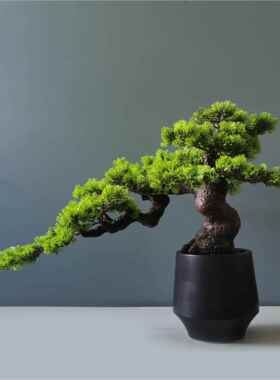 创意落地仿真迎客松盆景新中式玄关迎客松摆件家居装饰客厅工艺品