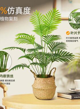 彷真植物XLZ0108A北欧装饰小盆栽公办面绿室客厅桌室内盆景摆件彷