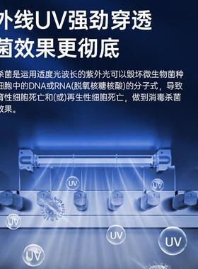 刀具消毒柜紫外线消毒柜刀具消毒箱厨房菜刀消毒食堂学校商用