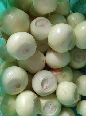 气动洋葱去皮机洋葱剥皮机北京果蔬食品加工设备机械加工定制设备