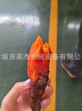 厂家供红薯电箱红薯是253怎么烘烤西的山东烟薯蜜薯应烤瓜红