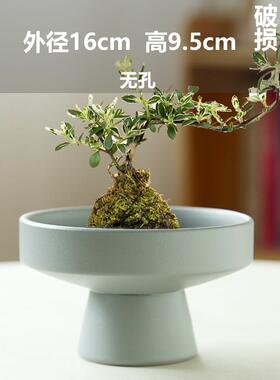 巴西木批发无孔水培花盆花盆花瓶