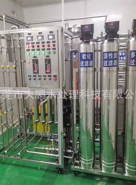 东莞厂家直供0.25-100吨纯化水设备一体化化妆品生产用超纯化水机