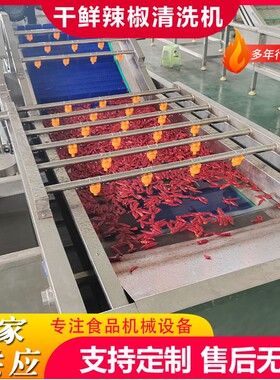 商用全自动果蔬气泡清洗机松茸鼓泡翻浪清洗机竹笋去泥清洗机设备
