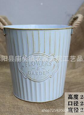鲜花鲜花养花干花花盆装饰摆件