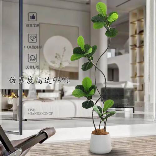 落Y1045件仿真绿植琴叶端榕高轻奢室内电视柜装饰地摆仿生植物盆 - 图2