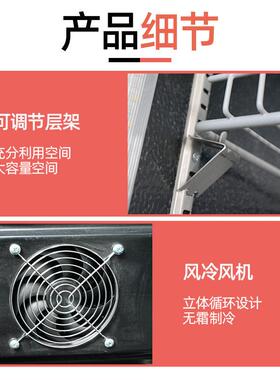 网红酒水柜商用酒吧KTV商超风冷双门饮料啤酒冷藏展示柜酒水柜