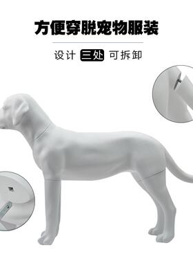 现货拉布拉多狗服装展示道具模型摄影拍照道具狗装饰摆件宠物模特