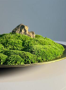 中式餐桌中间景观插花彷真绿色植物摆件饭厅彷真文竹永生青苔桌面