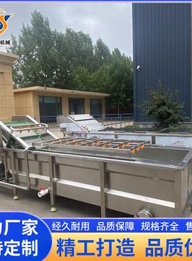 自动苋菜去沙气泡清洗机 水深芹菜山野华远菜全净菜加泥工清洗设