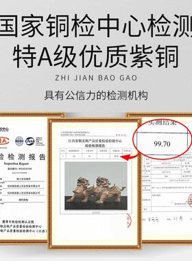 紫铜貔貅摆件一对公母招镇办公室家宅客厅八方来财铜制大号铜貔貅