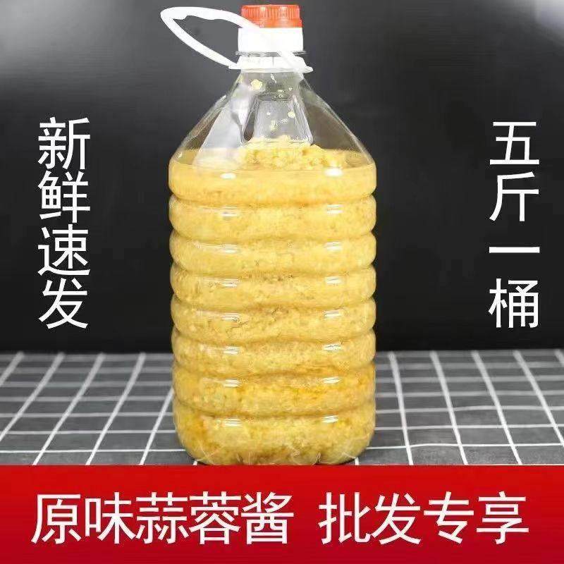 蒜蓉酱蒜泥蒜香瓶装原味微辣海鲜下饭酱调味酱烧烤拌面蒸煮调味酱,淘宝优惠券,粉丝福利购,淘宝优惠卷