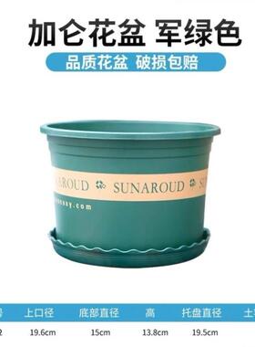 新款加仑盆绿萝月季多肉清仓加厚耐用塑料花盆简约田园家用送托盘
