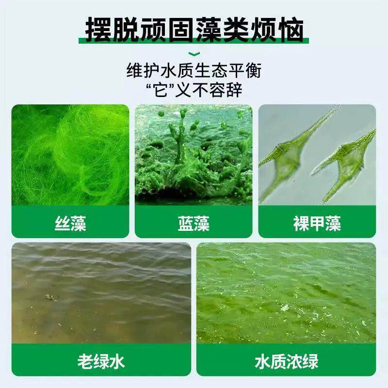 疯狂水草鱼池除藻粉鱼缸去绿藻青苔草缸除褐藻黑藻灭藻剂厂家批发,淘宝优惠券,粉丝福利购,淘宝优惠卷