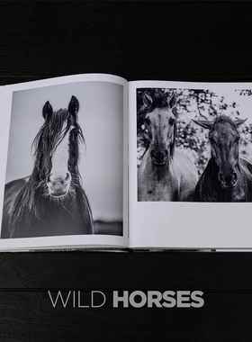 马装饰真正的书装饰品样板房售楼处书咖啡桌客厅摄影道具黑白中国