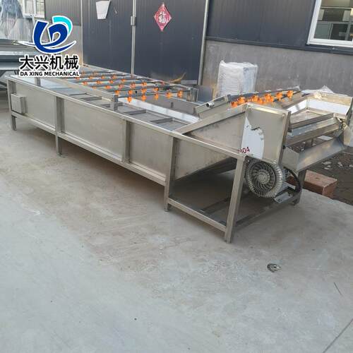 蔬菜药材腌菜清洗机去农残蔬菜气泡清洗机樱桃蓝莓气泡清洗机 - 图2