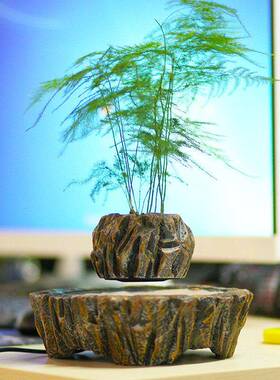 磁浮盆栽摆件 悬空花盆空中盆栽植物客厅办公室创意桌面装饰品