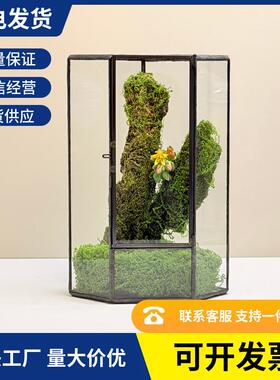 几何玻璃花房小型客厅生态桌面造景缸迷你雨林盒苔藓微景观水草缸