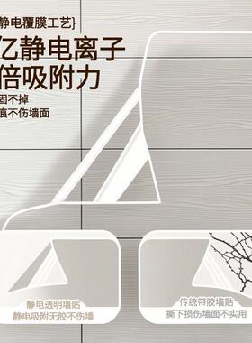 乳胶漆墙面透明保护膜静电不伤白墙贴防踢脏防潮贴纸墙壁防水贴膜