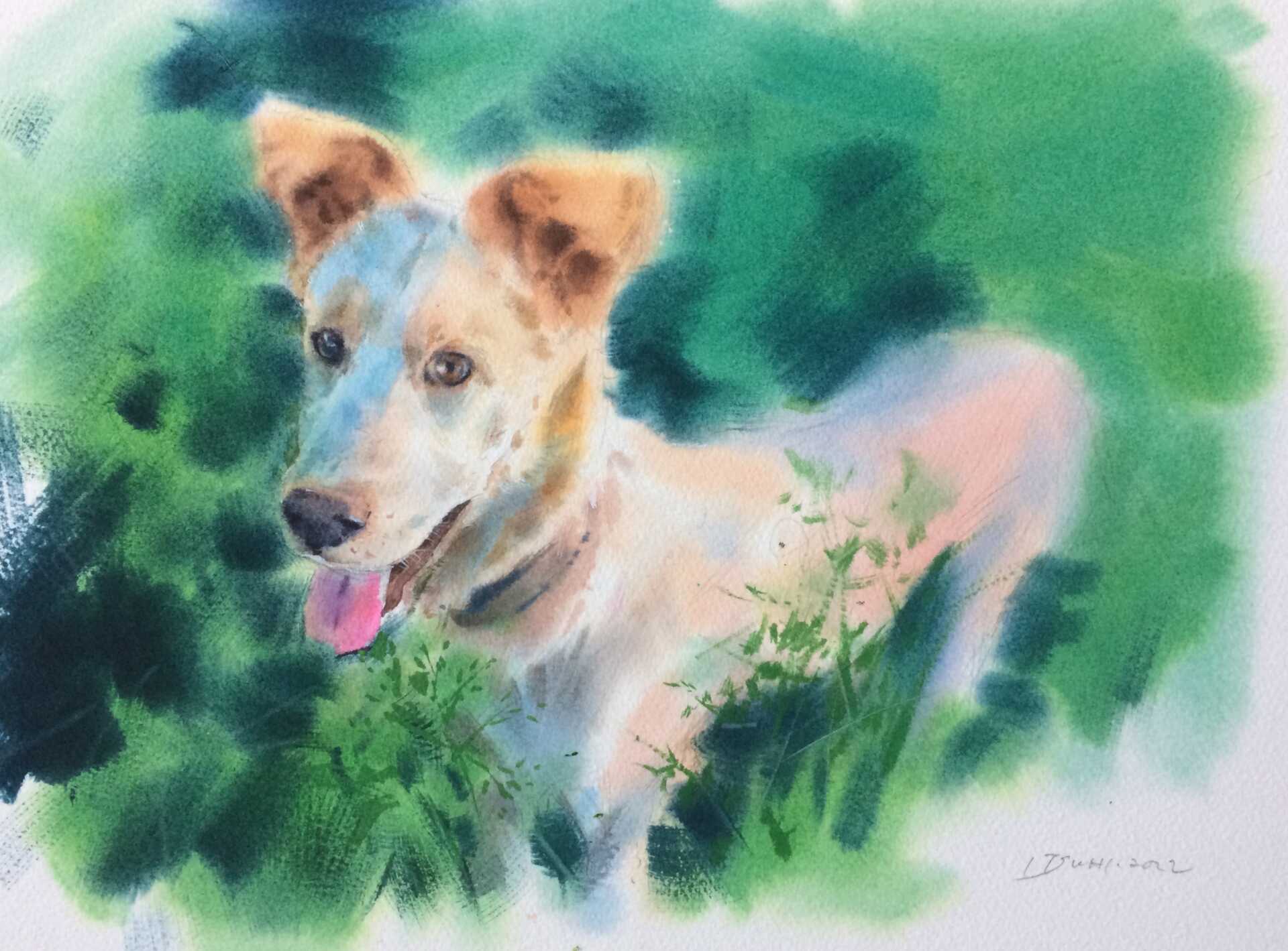 宠物水彩画 新人首单立减十元 22年9月 淘宝海外