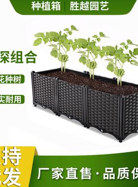 长方形种植家庭阳台塑料蔬菜花瓶