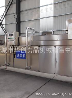 工蛋制品用蛋华创机洗 排双排蛋品清洗风干机 无菌蛋去泥刷洗厂机