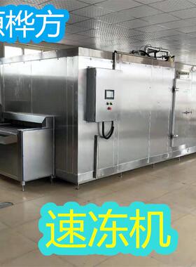 隧道锅贴速冻机蛋挞皮冷冻机隧道式平板单冻机源桦方