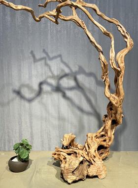 新中式风化木天然杜鹃根雕摆件创意实木灯鸟笼挂架客厅装饰