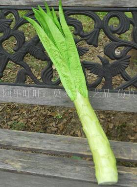 仿真模蔬菜油麦菜莴笋型商饰场713样具板房橱柜装摆设拍摄道幼儿